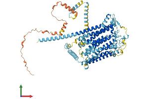AlphaFold protein structure predicition of Human Recombinant TMC7 Protein, UniprotID Q7Z402