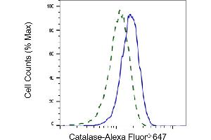 Flow cytometric analysis of Catalase expression in HepG2 cells using Catalase antibody (ABIN7797918), 1:2,000). (Recombinant Catalase 抗体)