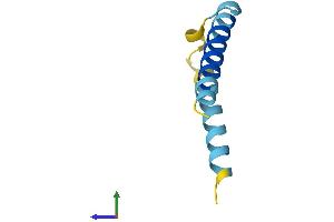 Protein Structure (PS) image for Small EDRK-Rich Factor 1A (Telomeric) (SERF1A) (AA 1-62) protein (Fc Tag) (ABIN7562685)