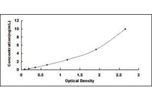 Typical standard curve (DAP Kinase 1 ELISA 试剂盒)