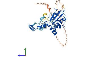 Protein Structure (PS) image for Methyltransferase Like 8 (METTL8) (AA 1-291) protein (His tag) (ABIN7549334)