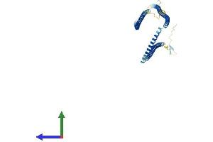 Protein Structure (PS) image for Coiled-Coil Domain Containing 11 (CCDC11) (AA 1-514) protein (His tag) (ABIN7553178)