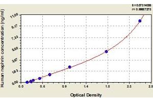 Typical Standard Curve (Nephrin ELISA 试剂盒)