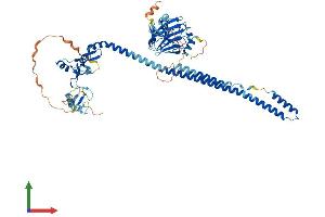 Protein Structure (PS) image for Tripartite Motif Containing 47 (TRIM47) (AA 1-638) protein (His tag) (ABIN7544801)