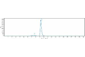 The purity of Anti-CEACAM1 / CD66a Reference Antibody (CM-24) is 96.