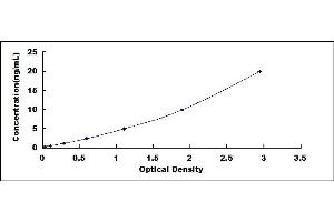 Typical standard curve (DLGAP5 ELISA 试剂盒)