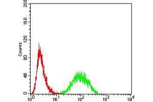 Flow Cytometry (FACS) image for anti-14-3-3 alpha + beta (YWHAB) (AA 1-246) antibody (ABIN5542549)