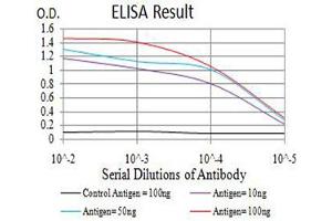 Black line: Control Antigen (100 ng),Purple line: Antigen (10 ng), Blue line: Antigen (50 ng), Red line:Antigen (100 ng) (RUNX3 抗体  (AA 294-429))