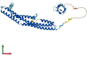 AlphaFold protein structure predicition of Human Recombinant SH3GL2 Protein, UniprotID Q99962