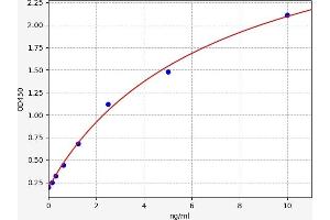 Typical standard curve (ABCB5 ELISA 试剂盒)