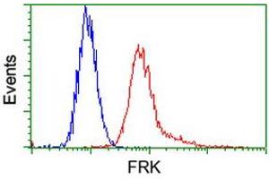 Image no. 2 for anti-Fyn-Related Kinase (FRK) antibody (ABIN1498313) (FRK 抗体)