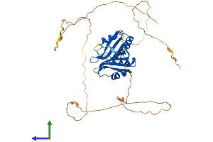 Protein Structure (PS) image for RNA Binding Motif, Single Stranded Interacting Protein 2 (RBMS2) (AA 1-383) protein (His tag) (ABIN7559801)