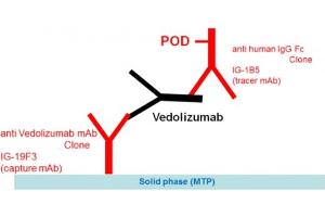 Image no. 1 for Vedolizumab Specific ELISA Kit (ABIN5519326) (Vedolizumab Specific ELISA 试剂盒)