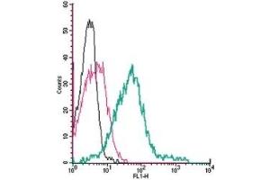 Flow Cytometry (FACS) image for anti-Transient Receptor Potential Cation Channel, Subfamily A, Member 1 (TRPA1) (AA 747-760), (Extracellular) antibody (FITC) (ABIN7043814)
