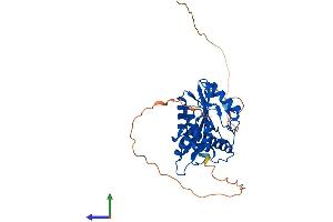 AlphaFold protein structure predicition of Human Recombinant VASH1 Protein, UniprotID Q7L8A9