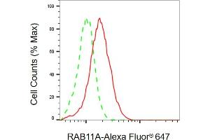 Flow cytometric analysis of RAB11A expression in HAP-1 cells using RAB11A antibody (ABIN7800088), 1:2,000). (RAB11A 抗体)