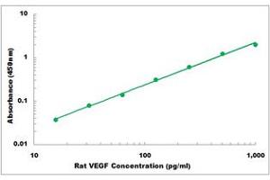 Representative Standard Curve (VEGF ELISA 试剂盒)