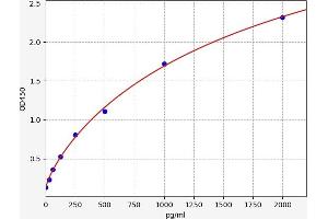 Caspase 6 ELISA 试剂盒