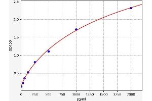 Typical standard curve (Caspase 6 ELISA 试剂盒)
