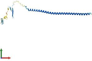 Protein Structure (PS) image for Stathmin 3 (STMN3) (AA 1-180) protein (His tag) (ABIN7562513)