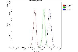anti-Heparan Sulfate 2-O-Sulfotransferase 1 (HS2ST1) (AA 71-356) antibody