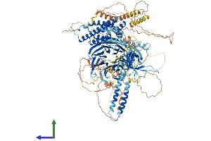 Protein Structure (PS) image for rho Guanine Nucleotide Exchange Factor (GEF) 10-Like (ARHGEF10L) (AA 1-1280) protein (His tag) (ABIN7561968)