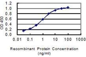 Detection limit for recombinant GST tagged ARL13B is 0. (ARL13B 抗体  (AA 329-428))