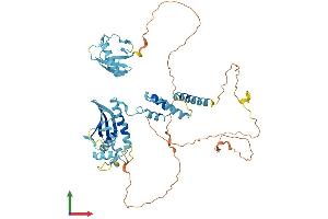 AlphaFold protein structure predicition of Mouse Recombinant Fbxo7 Protein, UniprotID Q3U7U3 (FBXO7 Protein (AA 1-523) (His tag))