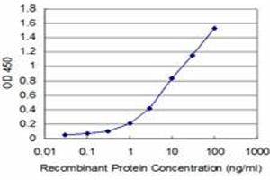 Detection limit for recombinant GST tagged EGR1 is approximately 0. (EGR1 抗体  (AA 444-543))
