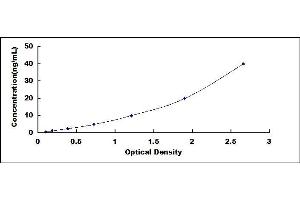 Typical standard curve (Cathepsin L ELISA 试剂盒)