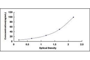 Typical standard curve (GALK1 ELISA 试剂盒)