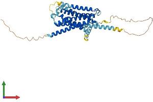 Protein Structure (PS) image for Serotonin Receptor 1D (HTR1D) (AA 1-374) protein (His tag) (ABIN7557681)