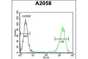 PTMS Antibody (C-term) (ABIN653227 and ABIN2842761) flow cytometric analysis of  cells (right histogram) compared to a negative control cell (left histogram). (Parathymosin 抗体  (C-Term))
