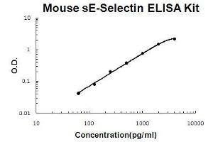 Mouse sE-Selectin PicoKine ELISA Kit standard curve (Soluble E-Selectin ELISA 试剂盒)