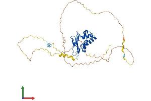 Protein Structure (PS) image for Protein Tob1 (TOB1) (AA 1-362) protein (His tag) (ABIN7557709)