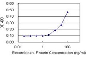 Sandwich ELISA detection sensitivity ranging from 3 ng/mL to 100 ng/mL. (IFI16 (人) Matched Antibody Pair)