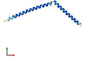 Protein Structure (PS) image for Synaptonemal Complex Central Element Protein 3 (SYCE3) (AA 1-88) protein (His tag) (ABIN7562068)
