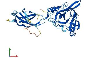 Protein Structure (PS) image for Phytanoyl-CoA 2-Hydroxylase Interacting Protein (PHYHIP) (AA 1-330) protein (His tag) (ABIN7559440)