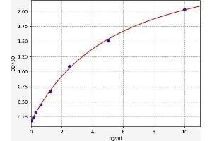 Typical standard curve (PREX1 ELISA 试剂盒)