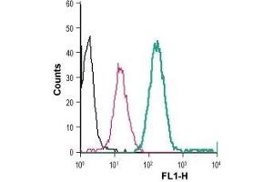 Cell surface detection of BAI1 in live intact human THP-1 monocytic leukemia cells: (black line) Cells. (ADGRB1 抗体  (Extracellular) (FITC))