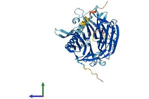 Protein Structure (PS) image for Kaptin (Actin Binding Protein) (KPTN) (AA 1-436) protein (His tag) (ABIN7548830)