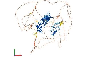AlphaFold protein structure predicition of Human Recombinant SH3RF2 Protein, UniprotID Q8TEC5