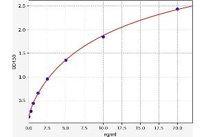 Typical standard curve (LTBR ELISA 试剂盒)