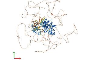AlphaFold protein structure predicition of Mouse Recombinant Pask Protein, UniprotID Q8CEE6