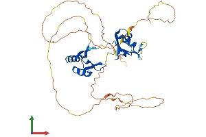 Protein Structure (PS) image for RNA Binding Motif, Single Stranded Interacting Protein 2 (RBMS2) (AA 1-383) protein (His tag) (ABIN7559801)