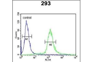EPS8L3 Antibody (N-term) (ABIN390898 and ABIN2841105) flow cytometric analysis of 293 cells (right histogram) compared to a negative control cell (left histogram). (EPS8-Like 3 抗体  (N-Term))