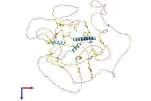 GTSE1 Protein (AA 1-741) (His tag)
