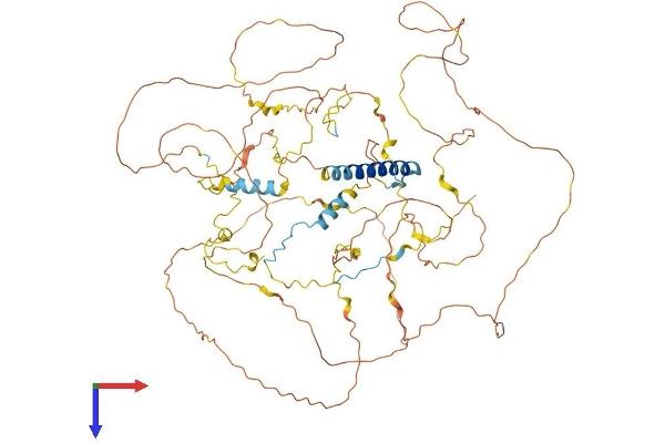 GTSE1 Protein (AA 1-741) (His tag)