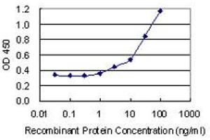 Detection limit for recombinant GST tagged U2AF2 is 0. (U2AF2 抗体  (AA 141-240))