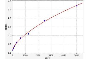 Typical standard curve (MNX1 ELISA 试剂盒)